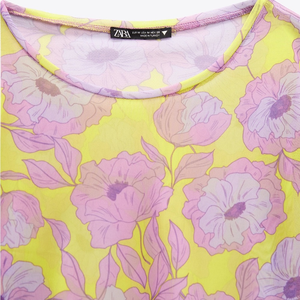 Zara Sheer Floral Tee Shirt View 2